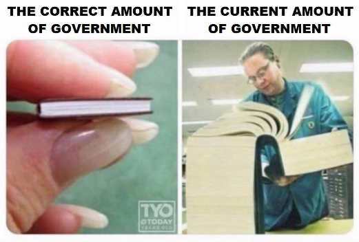 Correct amount of government
