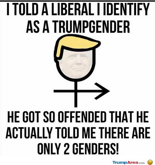 Trumgender vs Liberal
