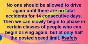 no-one-should-be-allowed-to-drive-again-until-no-fatal-accidents-for-14-consecutive-days-phase-in-certain-classes-of-people
