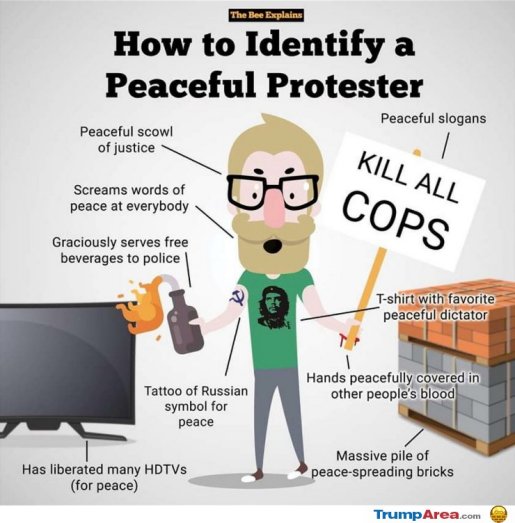 how-to-identify-peaceful-left-protester